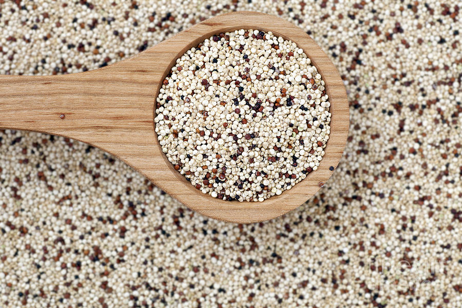 Quinoa With Wooden Spoon Photograph