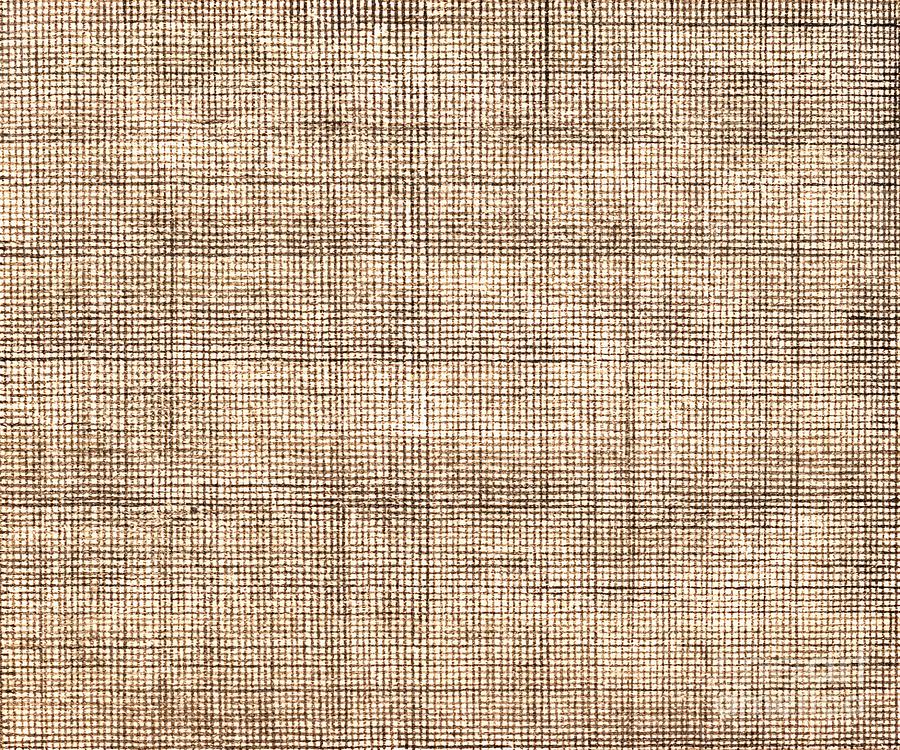 Ra Usumono Gauze Weave Tan Print 1825 Photograph by Padre Art