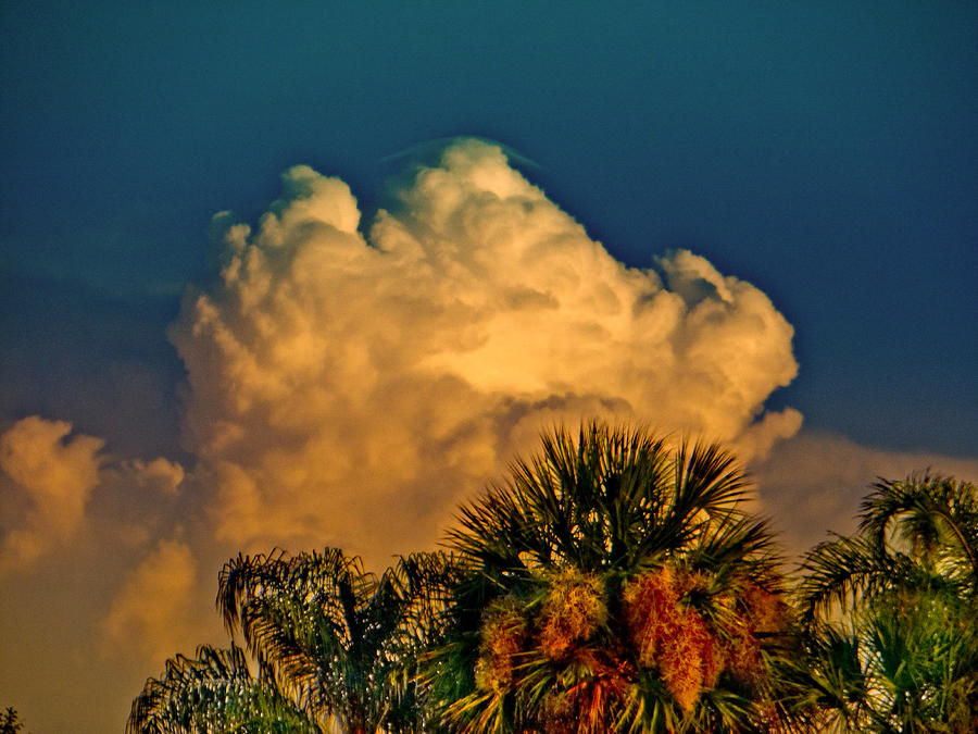 Rabbit Cloud Photograph by Dennis Dugan