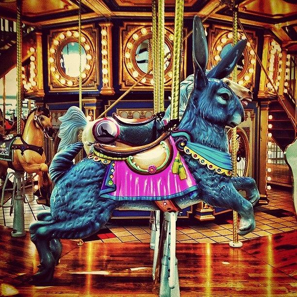 Fantasy Photograph - #rabbit #conejo #carousel #merrygoround by Eva Martinez