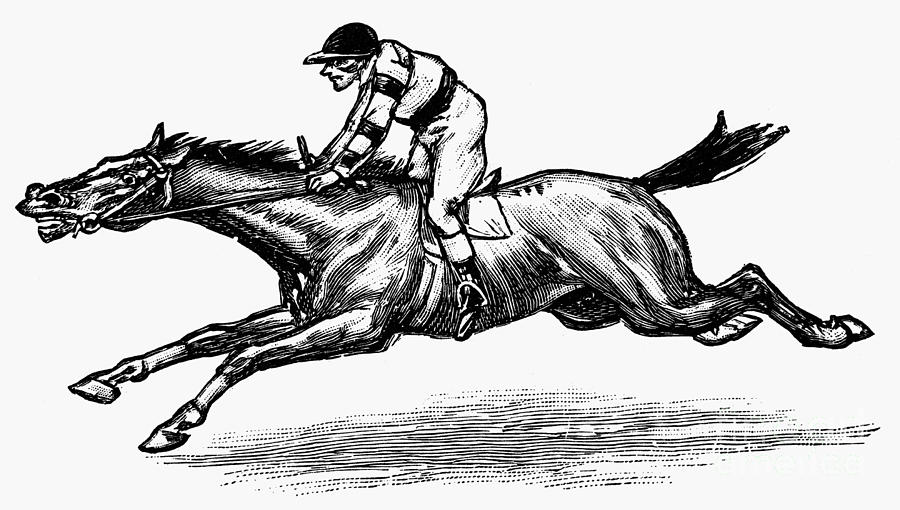 Horse Photograph - Race Horse, 1900 by Granger
