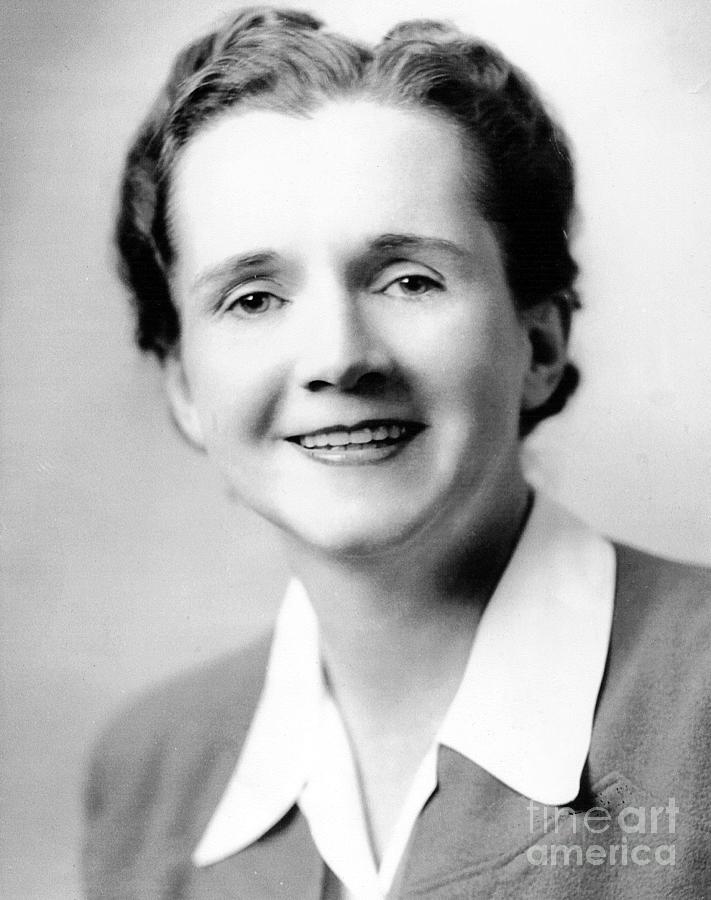 Rachel Carson Photograph by Granger