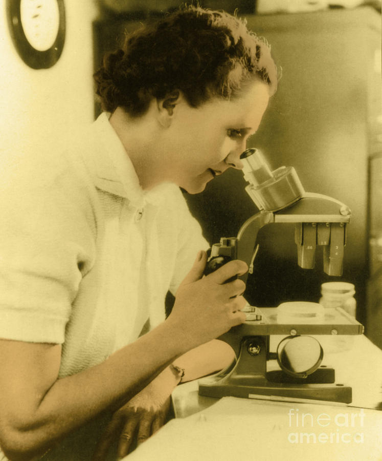 Rachel Carson, American Marine Biologist Photograph by Science Source