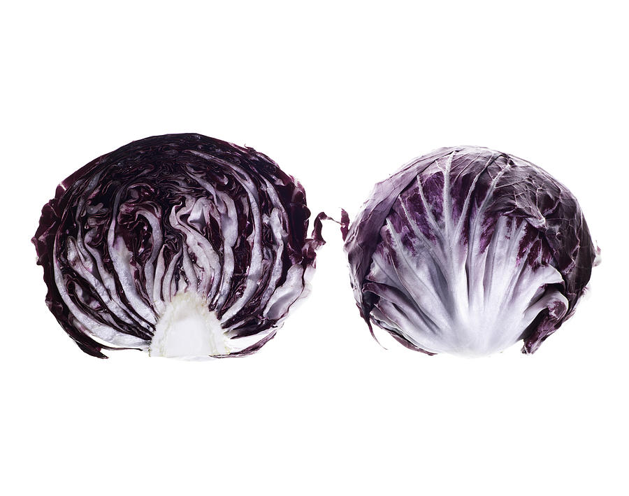 Radicchio Photograph by Nathaniel Kolby Radicchio Photograph by Nathaniel Kolby