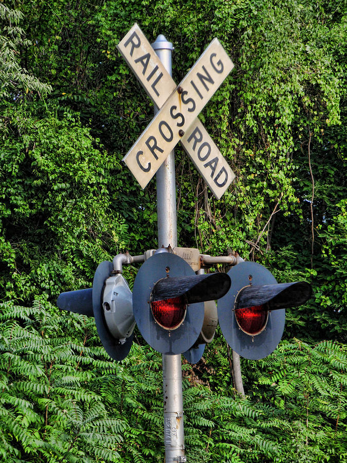 Railroad Crossing Light and Greenery Photograph by Kathy Clark