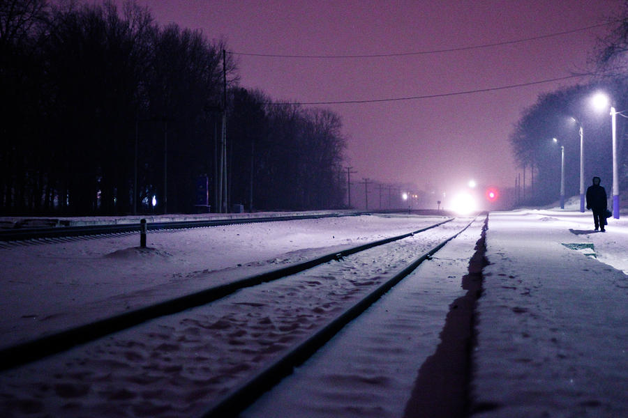Winter Photograph - Railroad by Dmitry Nikulichev