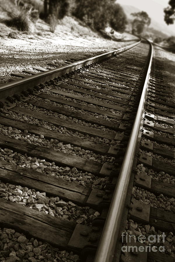 Railroad Tracks Photograph by Henrik Lehnerer