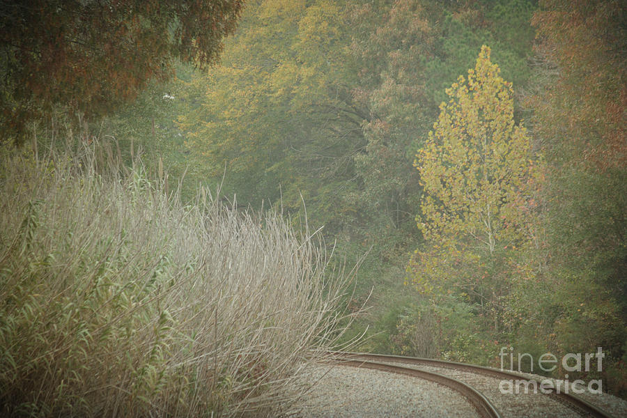 Tree Photograph - Rails Curve Into a Dreamy Autumn by Lisa Porier