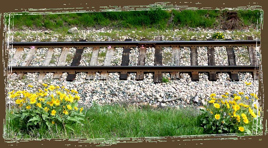 Railway Tracks And Wild Sunflowers Digital Art by Will Borden