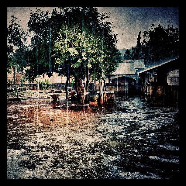 Rain And Hail. Nice Surprise, Since I Photograph by Maura Aranda