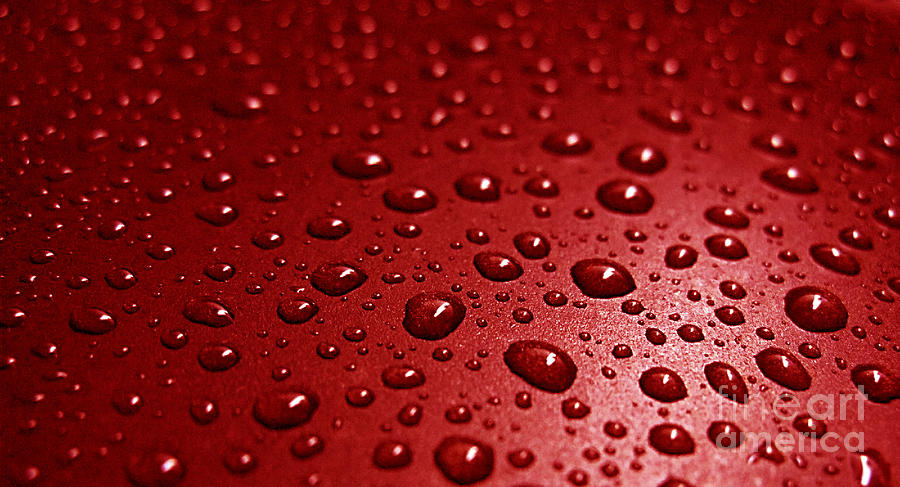Abstract Photograph - Rain drops Bloody Red  by Ausra Huntington nee Paulauskaite