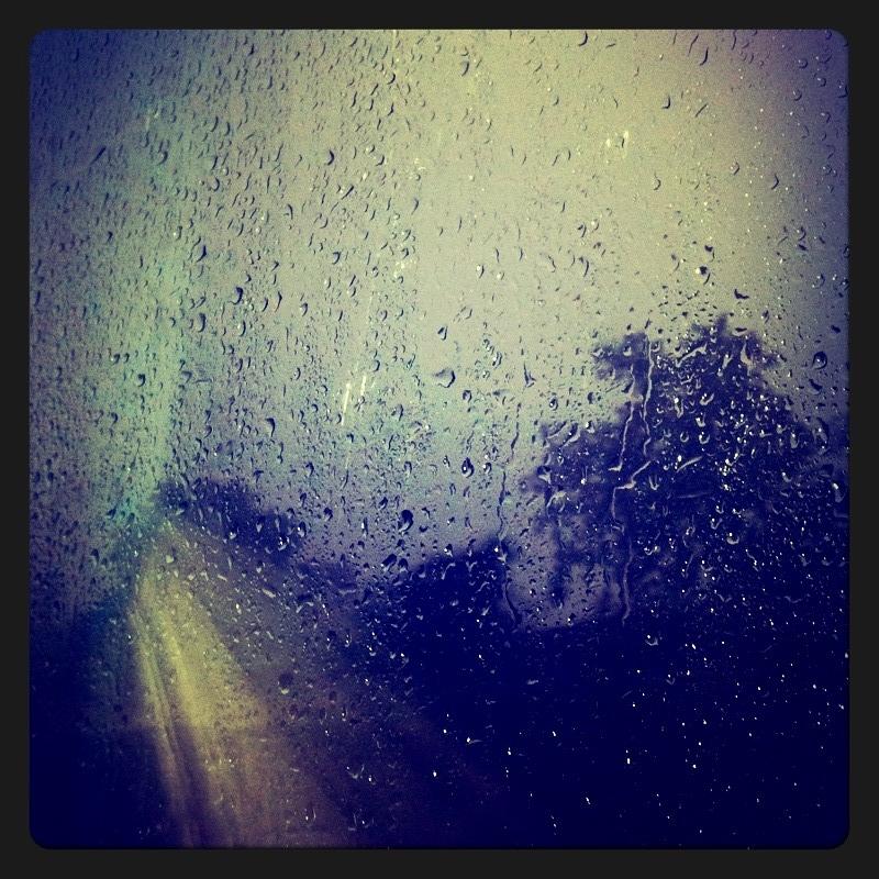 Nature Photograph - Rain Drops by Sumit Jain