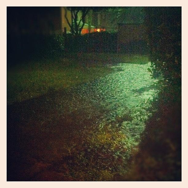 Orlando Photograph - Rain flooding the sidewalk at night by James Roberts