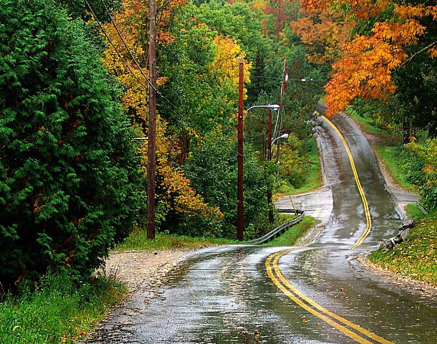 Fall Photograph - Rain On A Country Road by George Cousins
