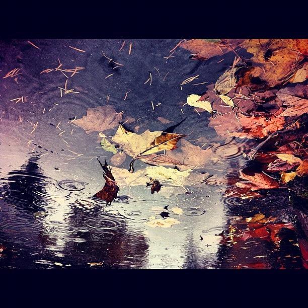 Nature Photograph - #rain #rainy #puddle #rainpuddle by Karen Clarke Nature Photograph - #rain #rainy #puddle #rainpuddle by Karen Clarke