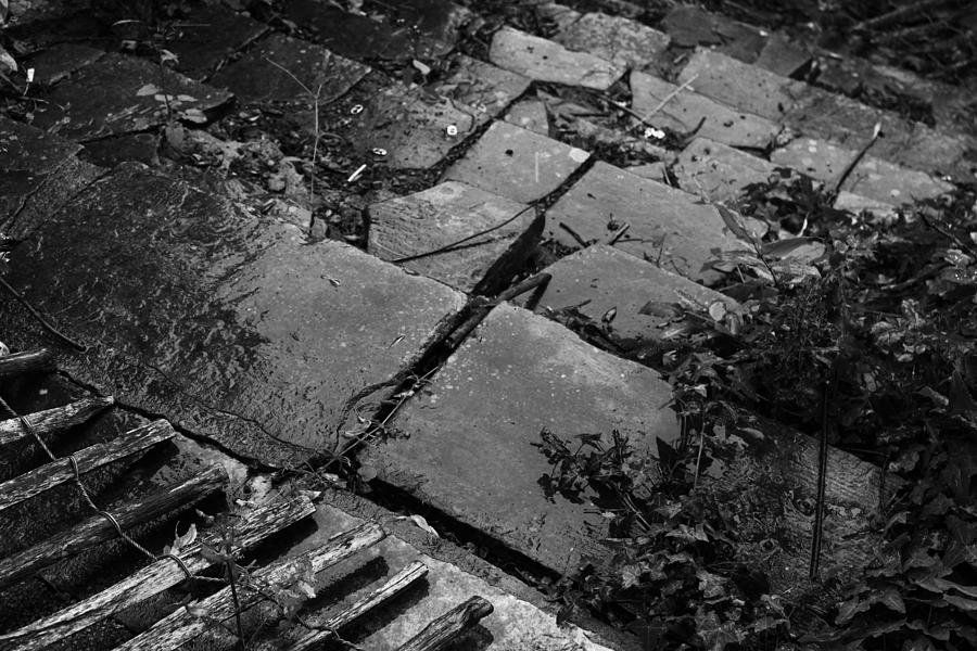 Rain-soaked Steps Photograph by Pete Luckhurst - Fine Art America