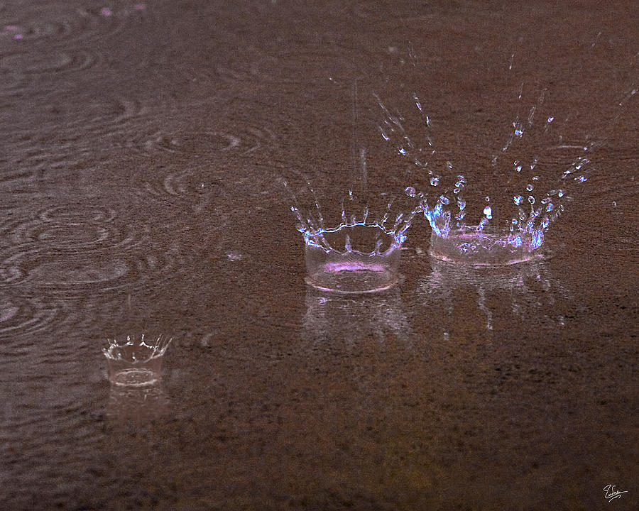 Rain Splashes Photograph by Endre Balogh