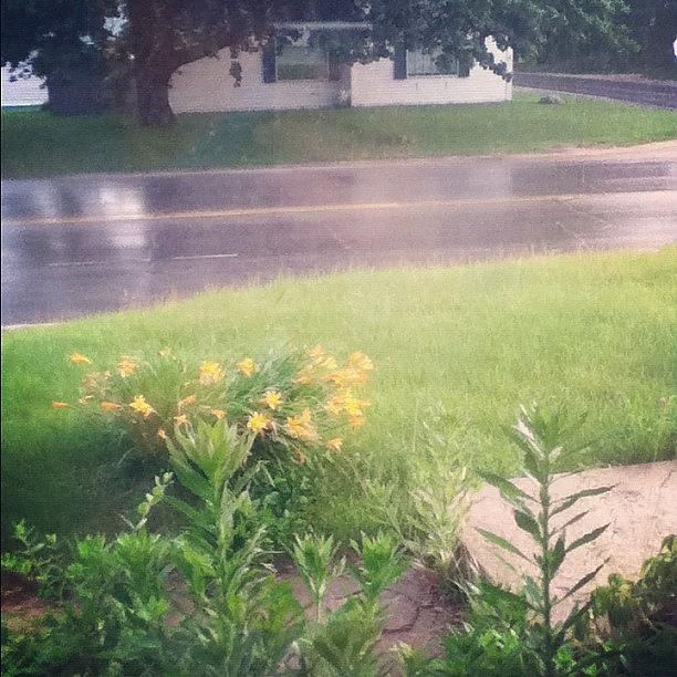 Flower Photograph - #rain #wet #road #yellow #flowers by Kayla St Pierre