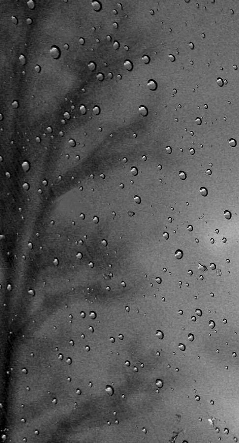 Rain Window Photograph by Michael Dohnalek - Fine Art America