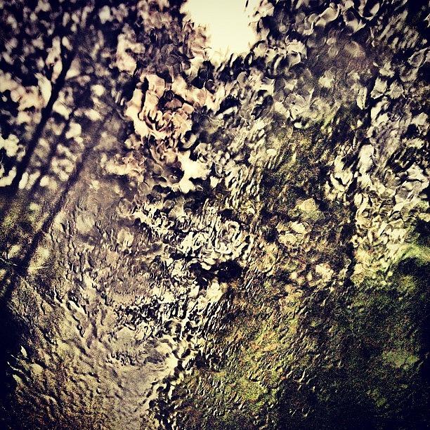 Tree Photograph - #rain #window #trees #sunday #gloomy by Kirsten Taubin