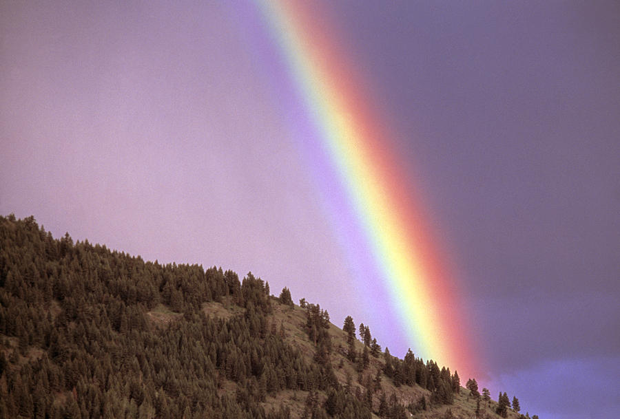 Rainbow Photograph by Alan Sirulnikoff - Fine Art America