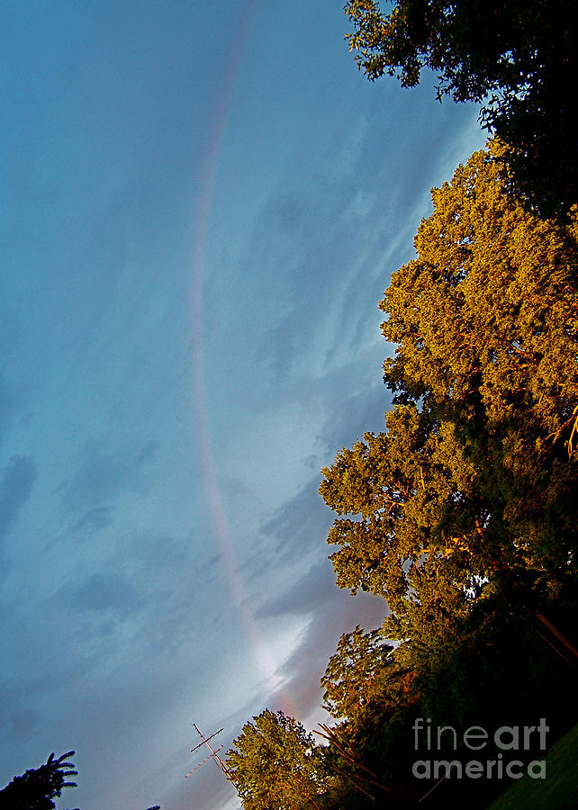 Rainbow Angle Photograph by Sue Stefanowicz