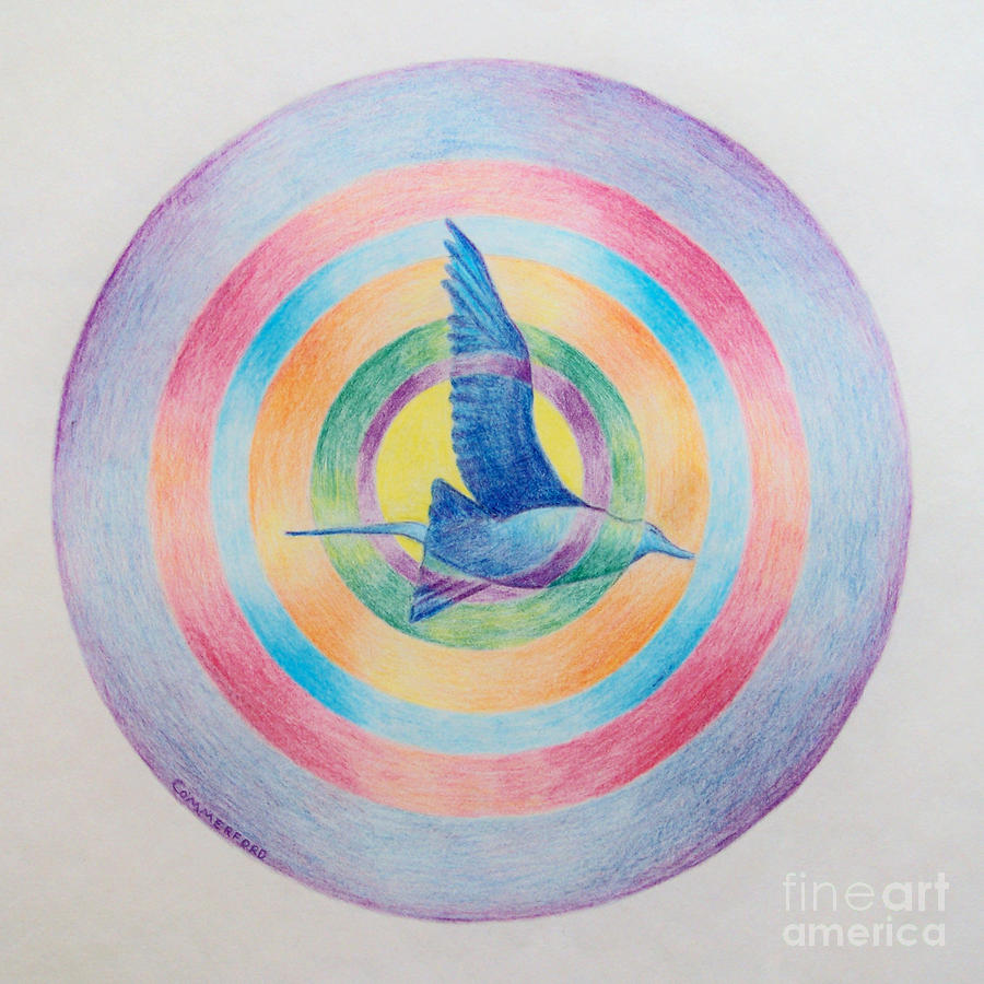 Rainbow Bird Drawing by Brian  Commerford