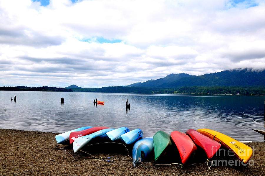 Rainbow Boats Photograph by Tatyana Searcy