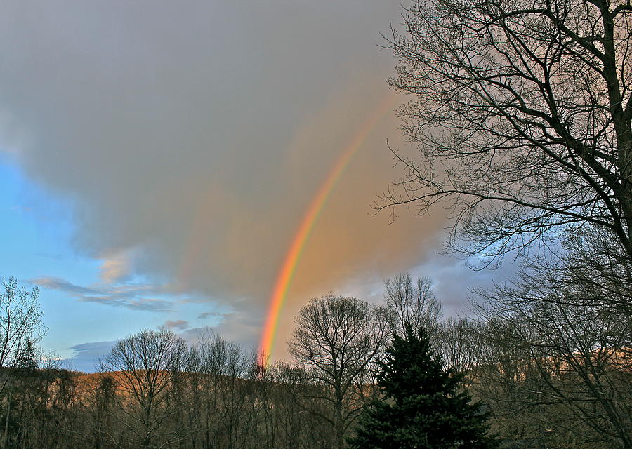 Rainbow Brightest 3 Photograph by Cliff Spohn