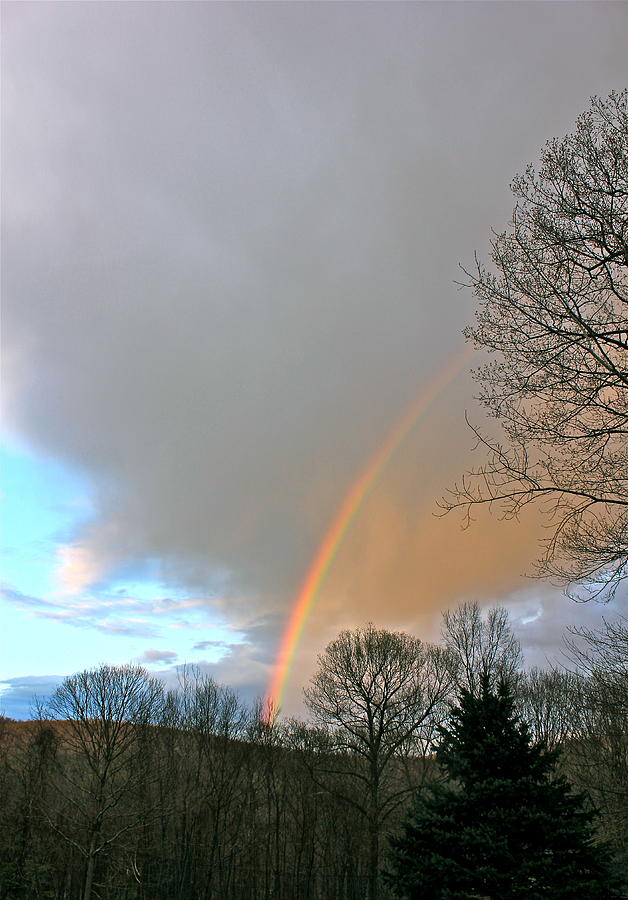 Rainbow Brightest 4 Photograph by Cliff Spohn