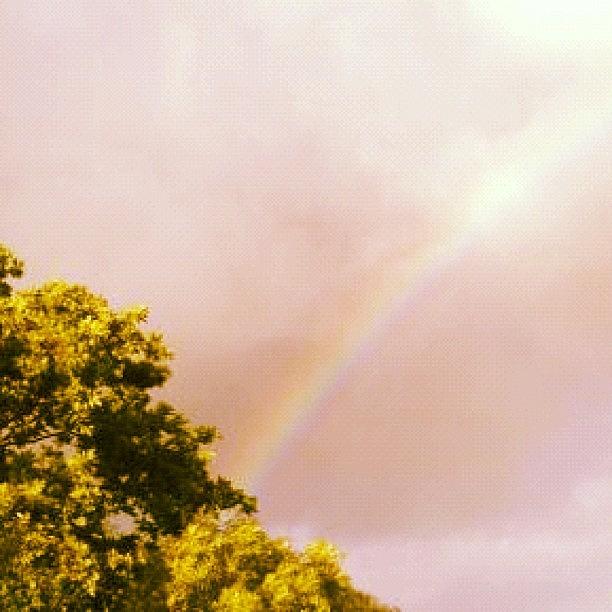 Nature Photograph - #rainbow #darksky #nature #trees by Grace Shine