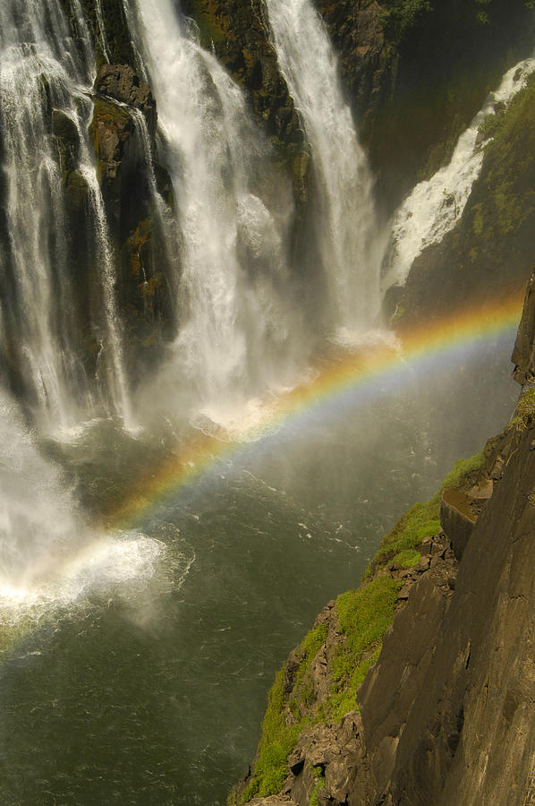 Rainbow falls Photograph by Alistair Lyne