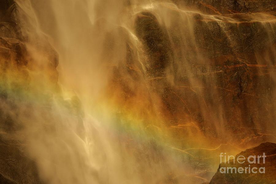 Rainbow Fury Photograph by Adam Jewell