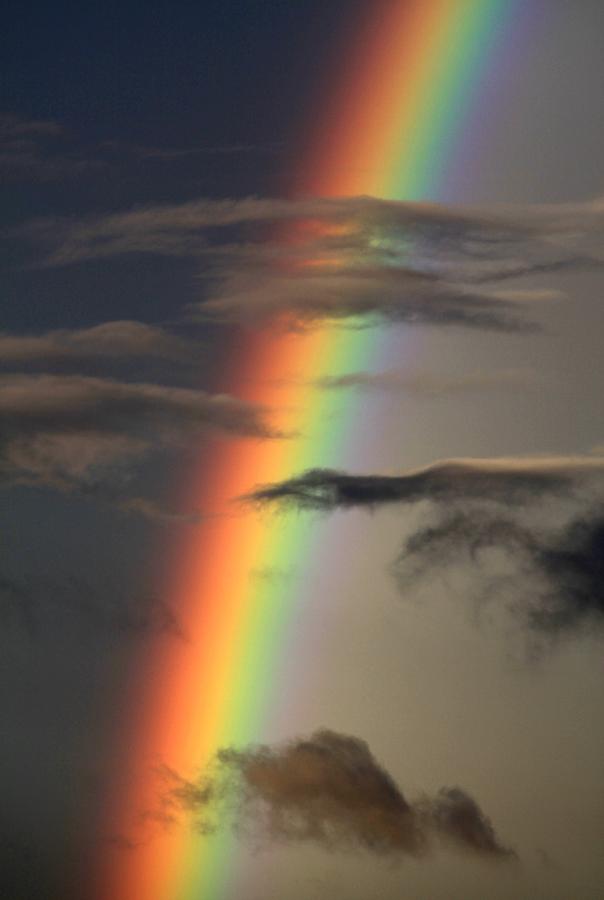Rainbow Islands Photograph by J Vincent Scarpace