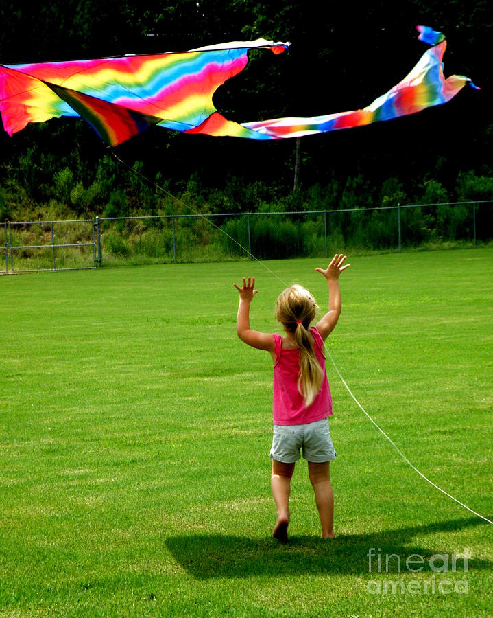 Rainbow Kite Photograph by Lainie Wrightson