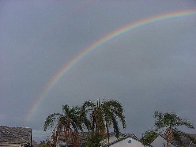 Rainbow Left Photograph by Val Oconnor