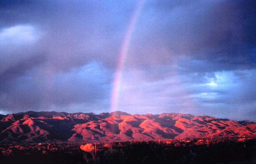 Rainbow Photograph by M Diane Bonaparte