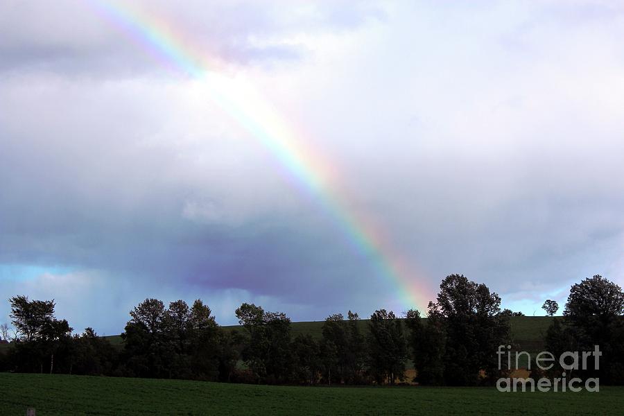 Rainbow Photograph by Margaret Hamilton