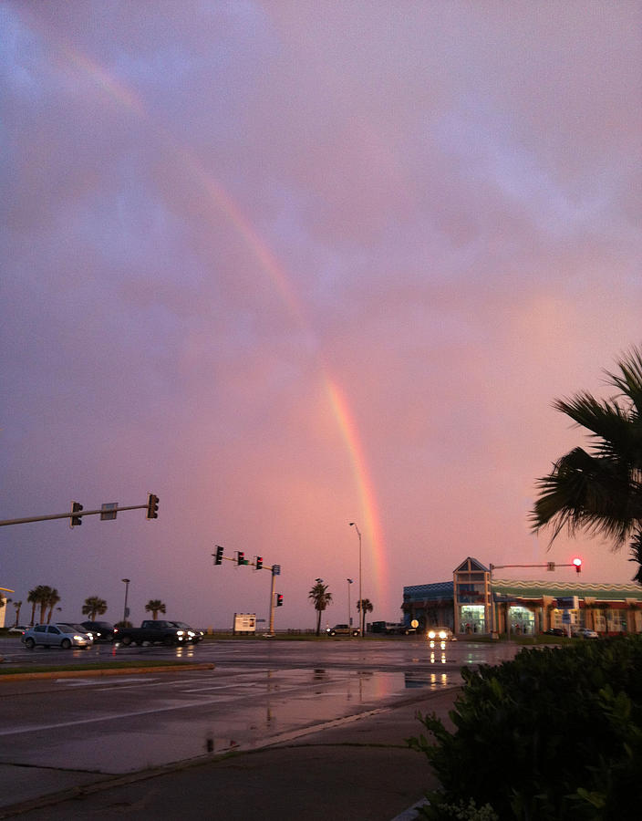 Rainbow  Photograph by Naomi Wittlin