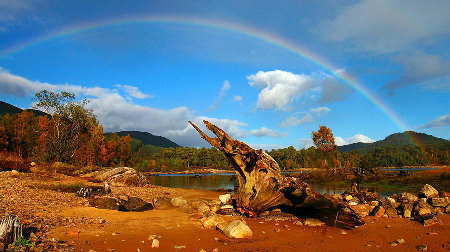 Rainbow over Affric Photograph by Gavin Macrae