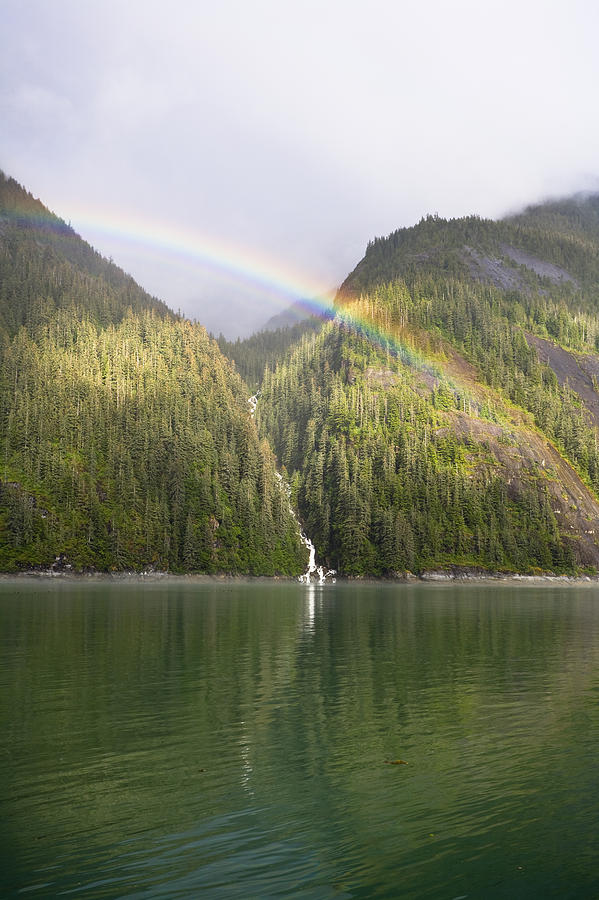 Rainbow Over Forest, Endicott Arm Photograph by Konrad Wothe