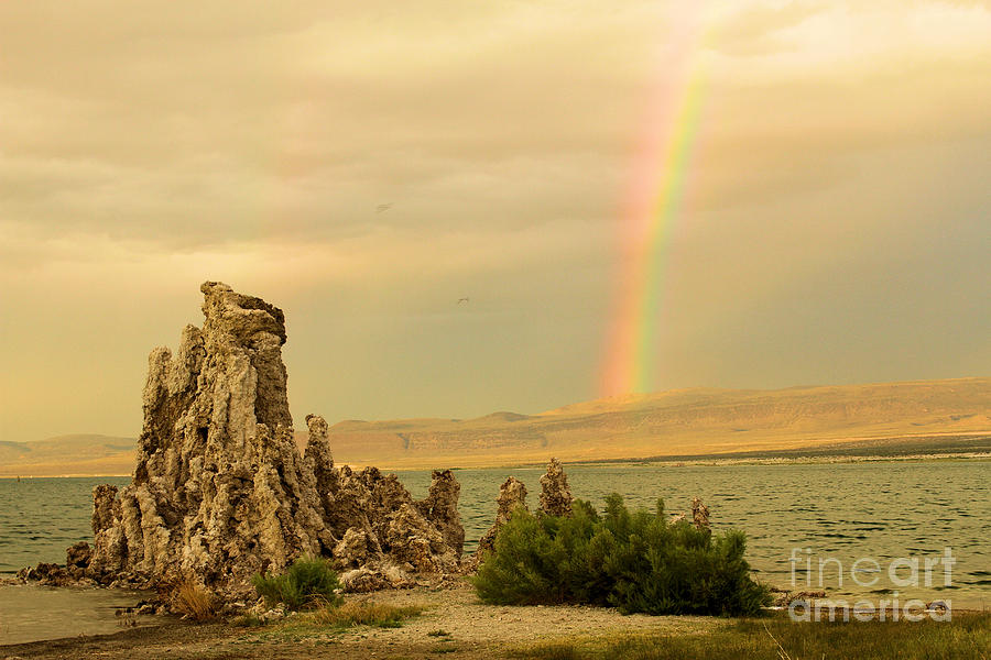 Rainbow Over Mono Lake Photograph by Adam Jewell