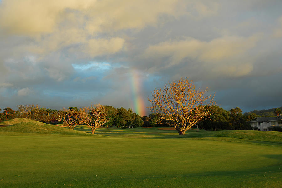Rainbow over Princeville Photograph by Lynn Bauer