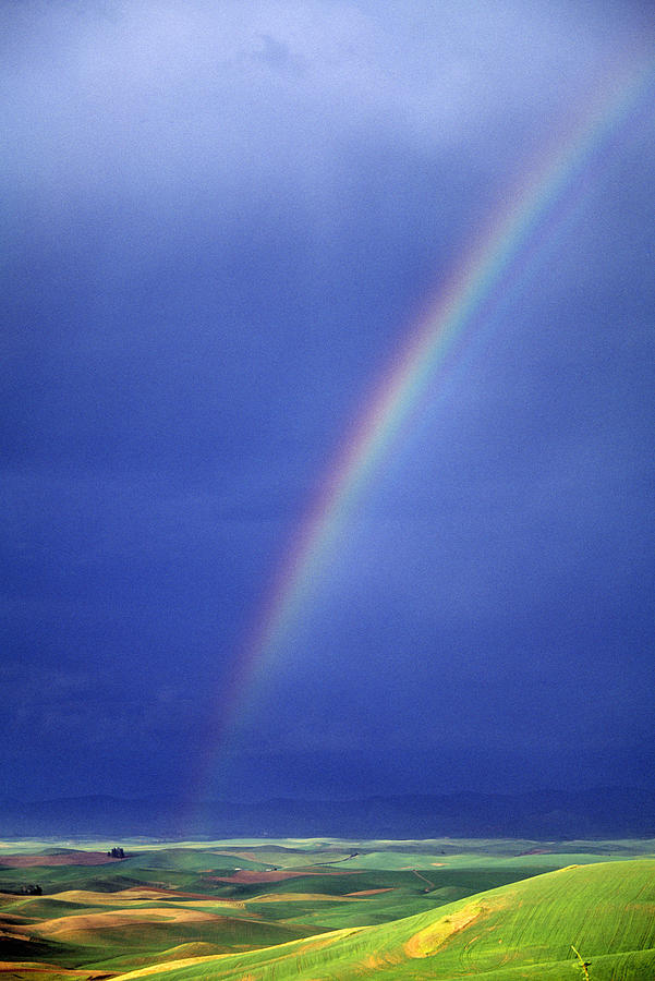 Rainbow Over Rolling Hills Photograph by Natural Selection Chris ...