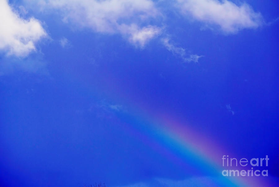 Rainbow Prism Photograph by Laura Mountainspring