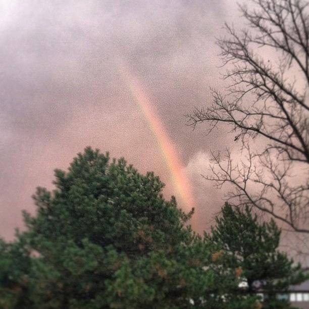 Rainbow Promises Photograph by Evie Warner
