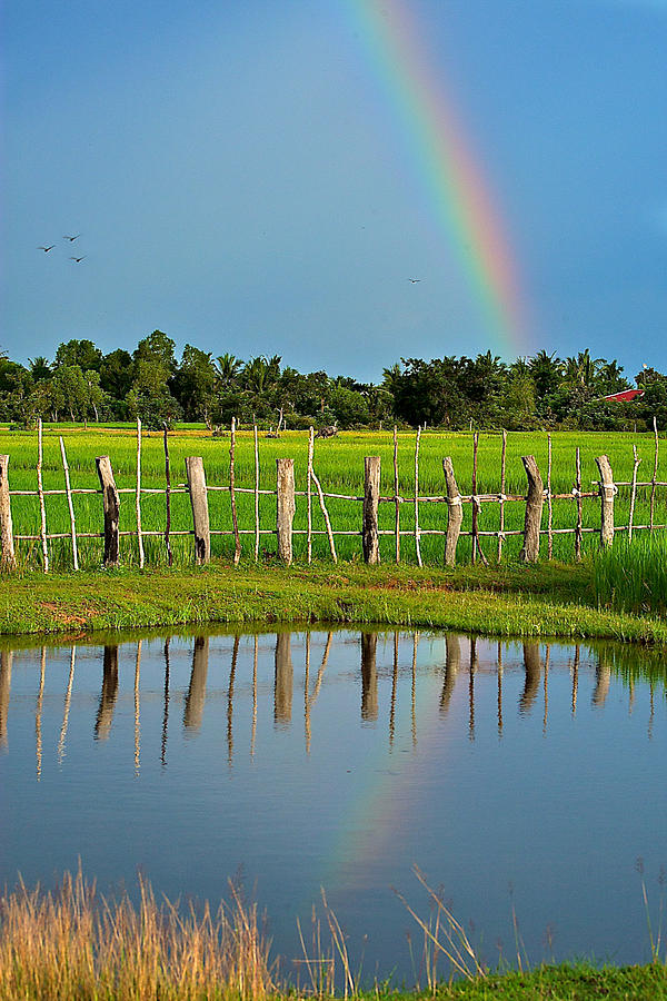Rainbow Reflection 3 Photograph by Arj Munoz