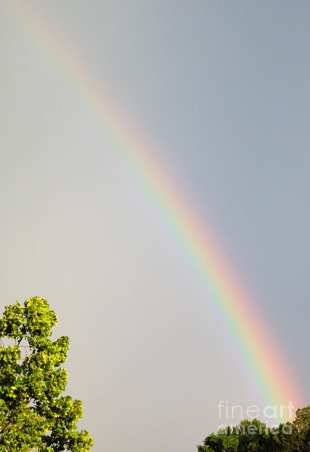 Rainbow Photograph by Renee Trenholm