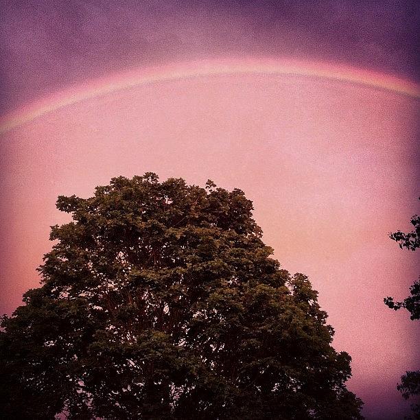 Summer Photograph - Rainbow by Sara Lovelace