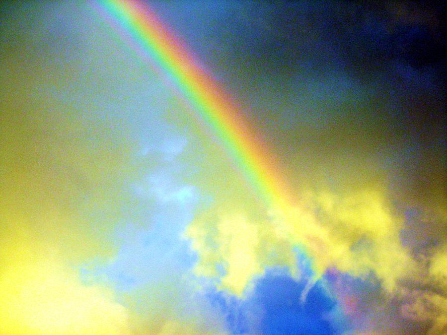 Rainbow  Photograph by Susan Carella